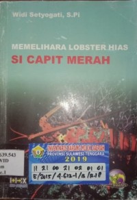 Image of Memelihara Lobster Hias Si Capit Merah